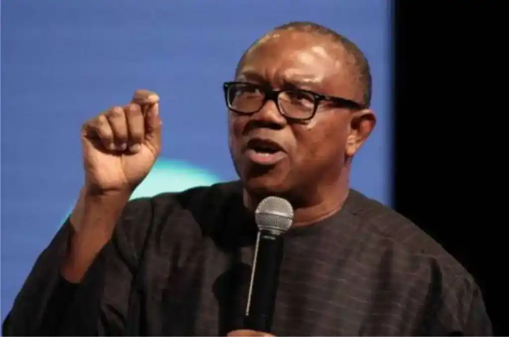 Labour Party to account for campaign funds and audit proceeds - Obi